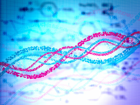 3d model of DNA