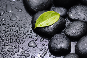 Obraz na płótnie Canvas green leaf with stones on wet black background