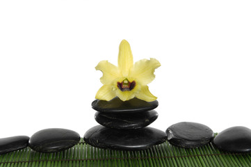 Fototapeta na wymiar Yellow orchid with balance stones on green mat
