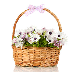 Fototapeta na wymiar Bukiet pięknych kwiatów letnich w koszyku, samodzielnie na
