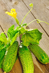 Cucumber on wooden table