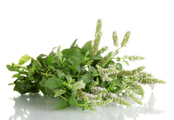 fresh mint with flowers,  isolated on white