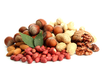 assortment of tasty nuts with leaves, isolated on white