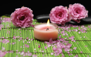 Beautiful pink rose and zen stones with candle in green mat