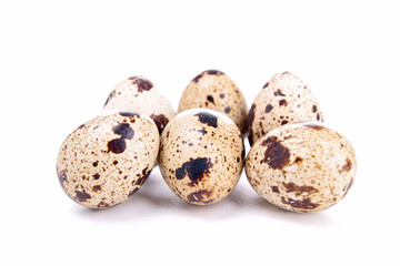 quail egg