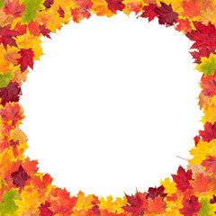 Naklejka na ściany i meble Autumn maple leaves in round shape with free space in center