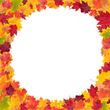 Autumn maple leaves in round shape with free space in center