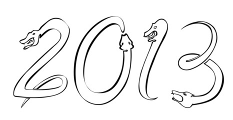 new yaer snakes 2013