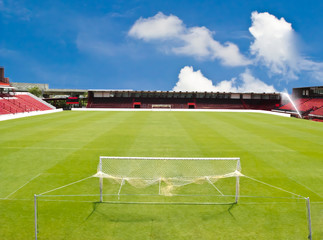 Obraz premium football field