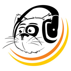 Cat listening to music by headphones