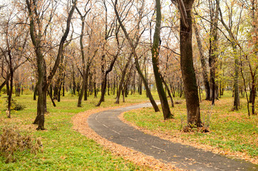 autumn park