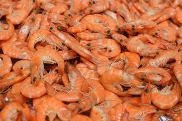 rayon de crevettes roses