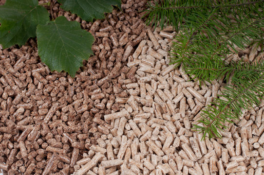 Pellets- biomass