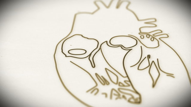 Human Heart structure animation illustration  Shallow Depth of F