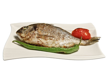 Pangasius