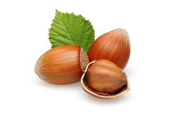 Hazelnuts Group