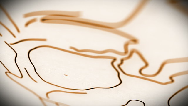 Human Skull structure animation illustration Shallow Depth of Fi