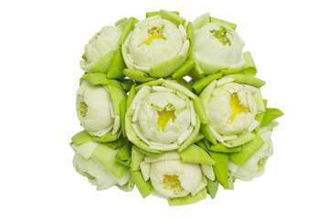 lotus isolated on white background