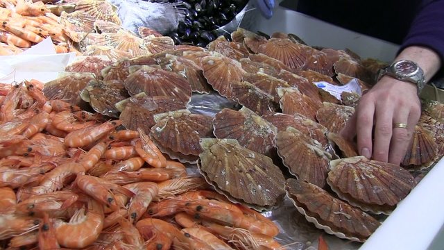 rayon fruits de mer