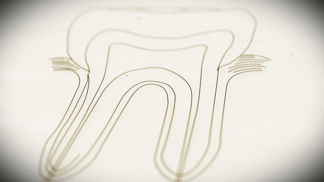 Human Tooth structure animation illustration Shallow Depth of Fi