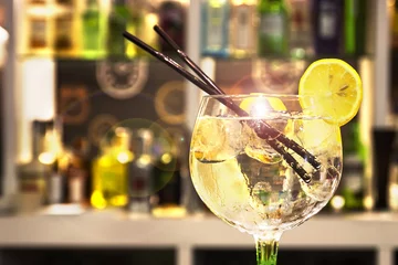  Gin Tonic Cocktail met schijfje citroen © mrks_v