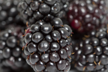 Macro Blackberry