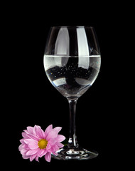 glass with water and  flower isolated on black background 