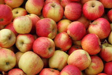Äpfel
