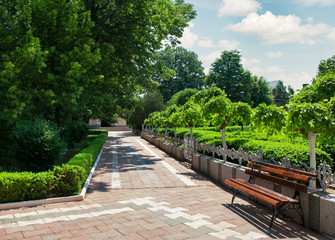 Summer day in city park