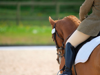 Dressage Abstract