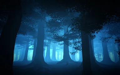 Gordijnen dark blue forest © adimas