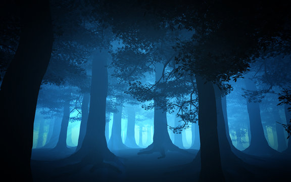 Fototapeta dark blue forest