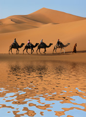 Camel Caravan in Sahara Desert - obrazy, fototapety, plakaty