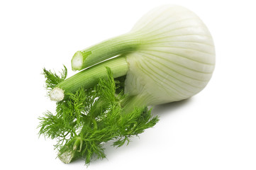 Fresh Fennel close up on the white