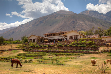 Typical hacienda