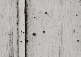 Painted Wood Texture