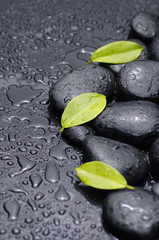 Still life with Three green leaves with stones on wet