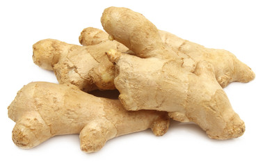 Fresh ginger over white background