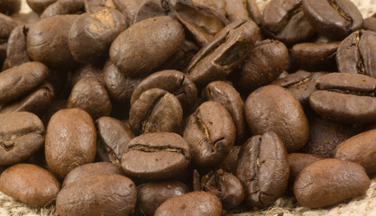 Coffee beans close up