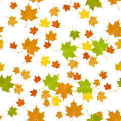 Herbst, Wallpaper, nahtlos, freigestellt, isoliert, Muster