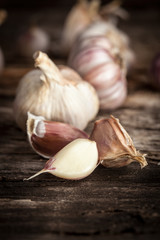 Orgsnic garlic