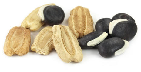 Seeds of bottle gourd and hyacinth bean over white background