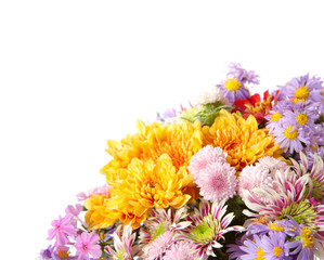 fragment of colorful chrysanthemums bunch isolated on a white