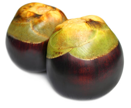 Borassus flabellifer or Tal fruit of Indian subcontinent