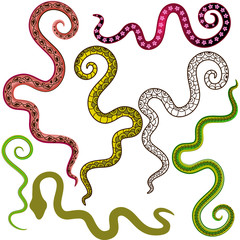 Fototapeta premium Set wave lines