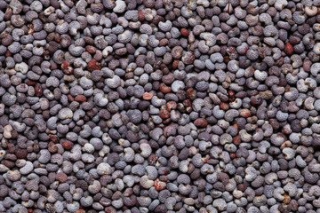 poppy seed background