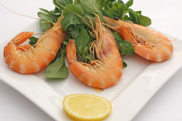 Des gambas et une rondelle de citron 1