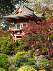 Fototapeta na wymiar Pagode rouge dans le jardin zen japonais de San Francisco
