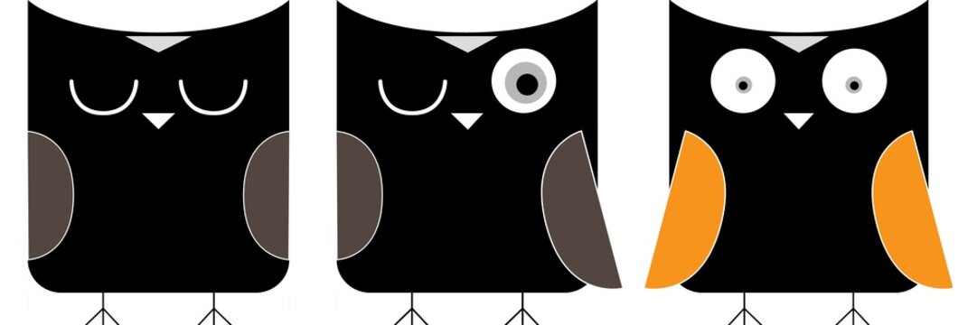 3 owls cartoon