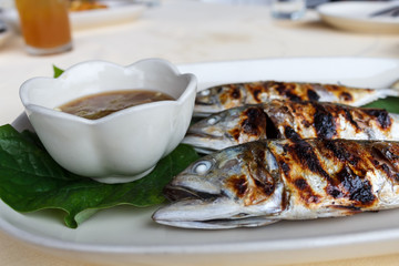 Grilled scomber fish